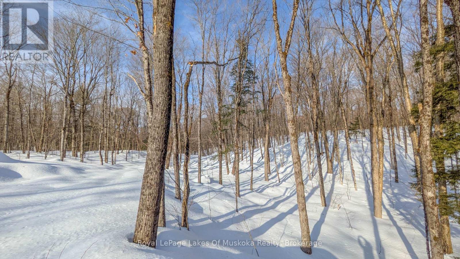 












1100 RAYMOND ROAD

,
Muskoka Lakes (Watt),




Ontario
P0B1M0

