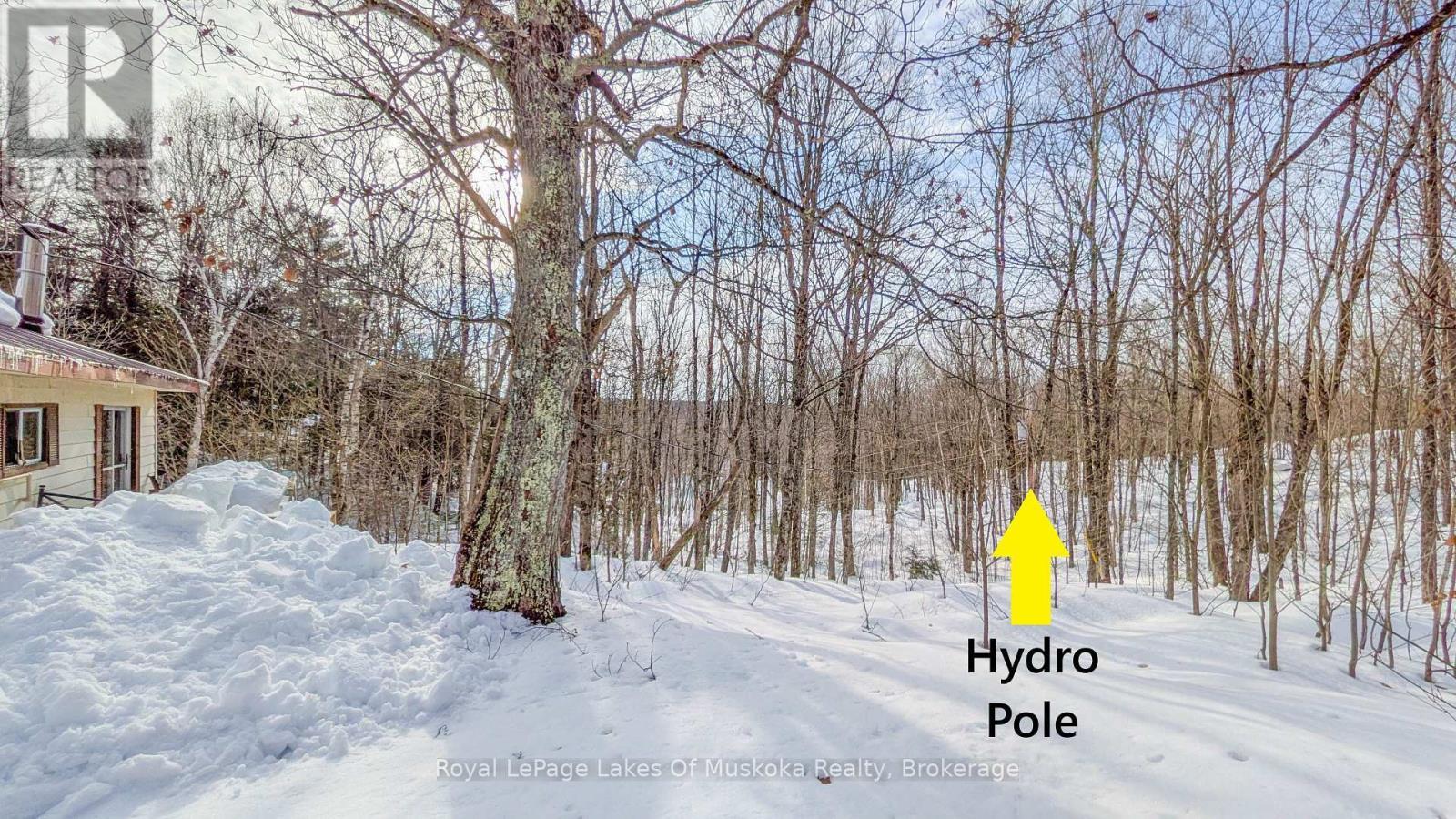 












1100 RAYMOND ROAD

,
Muskoka Lakes (Watt),




Ontario
P0B1M0

