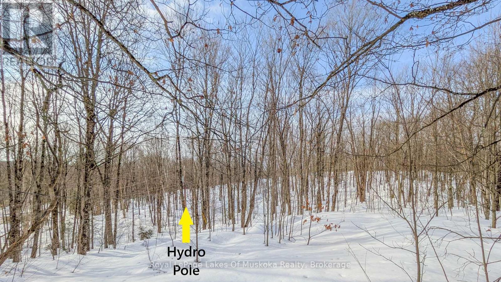 












1100 RAYMOND ROAD

,
Muskoka Lakes (Watt),




Ontario
P0B1M0

