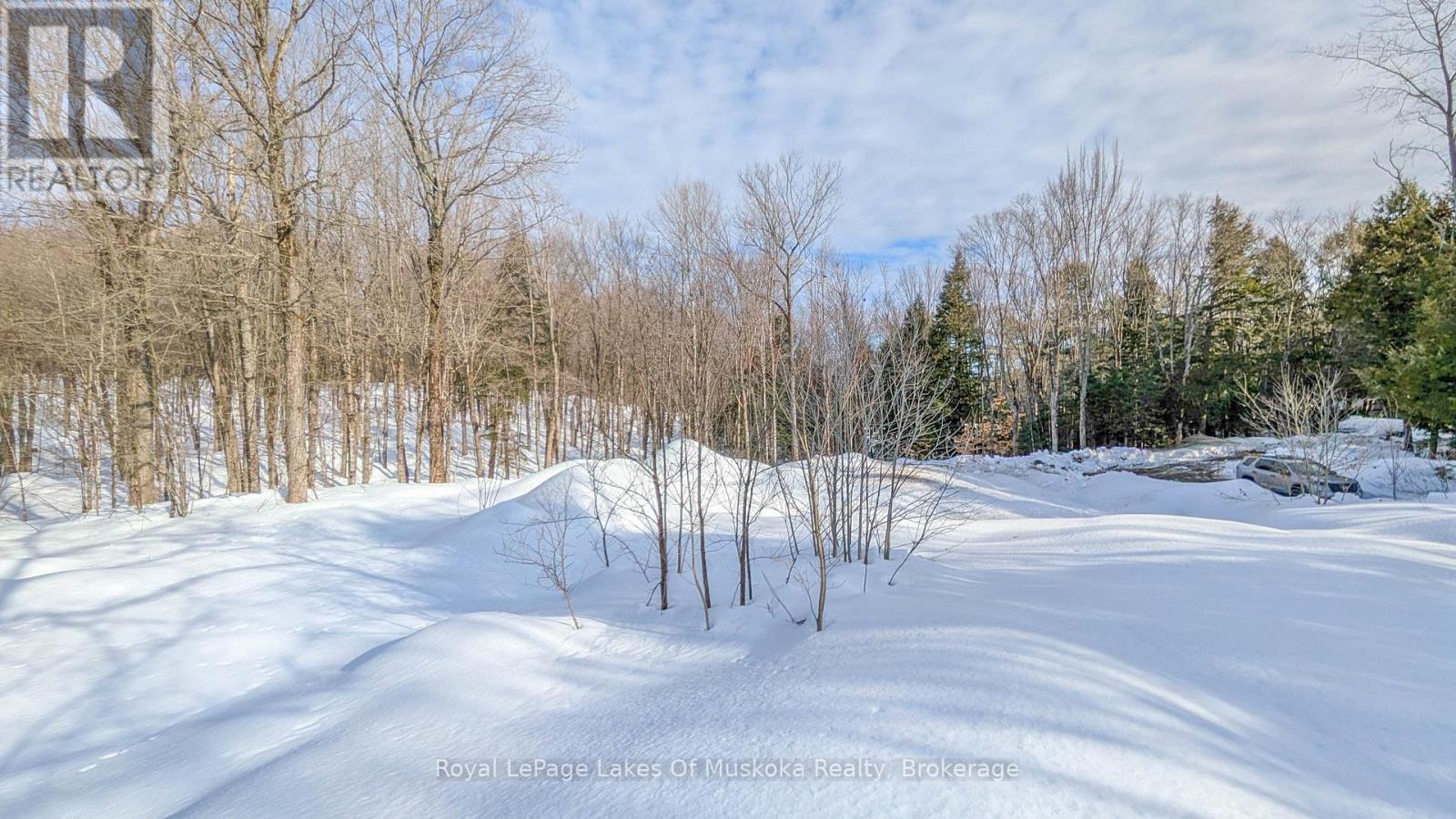 












1100 RAYMOND ROAD

,
Muskoka Lakes (Watt),




Ontario
P0B1M0

