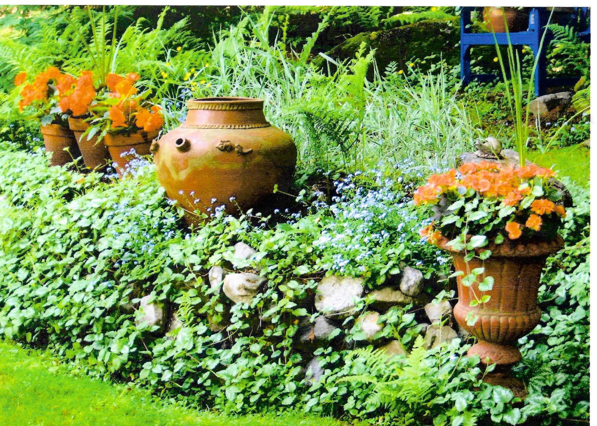 









142


Rue du Mont-Rainer

,
Sainte-Agathe-des-Monts,




QC
J8C0V5

