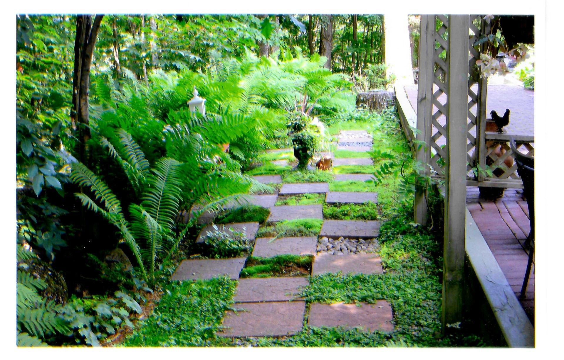 









142


Rue du Mont-Rainer

,
Sainte-Agathe-des-Monts,




QC
J8C0V5

