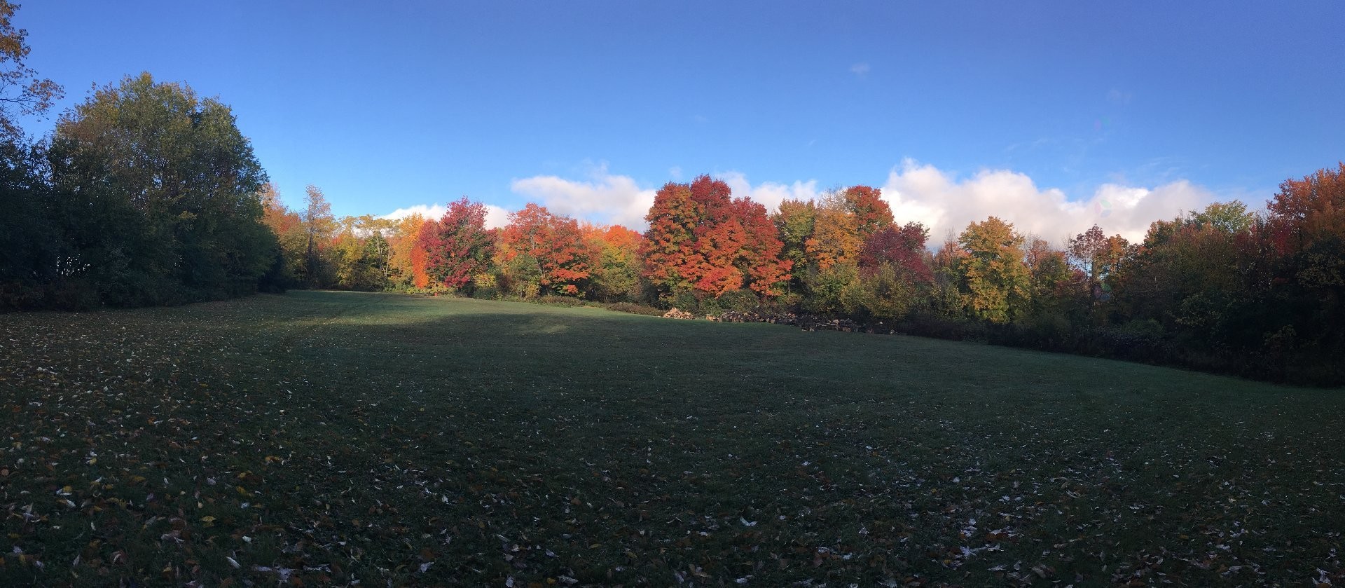 









168


Ch. St-Georges

,
Rigaud,







QC
J0P1J0

