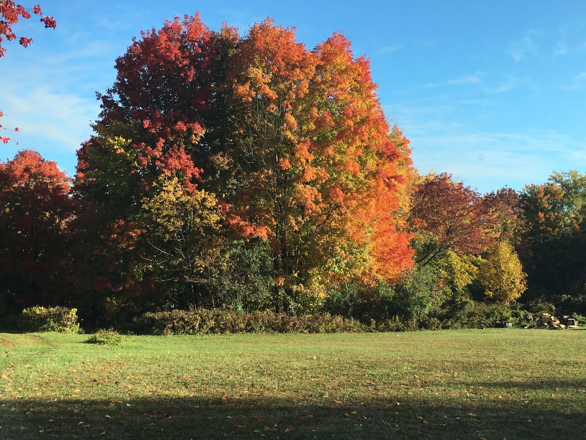 









168


Ch. St-Georges

,
Rigaud,







QC
J0P1J0

