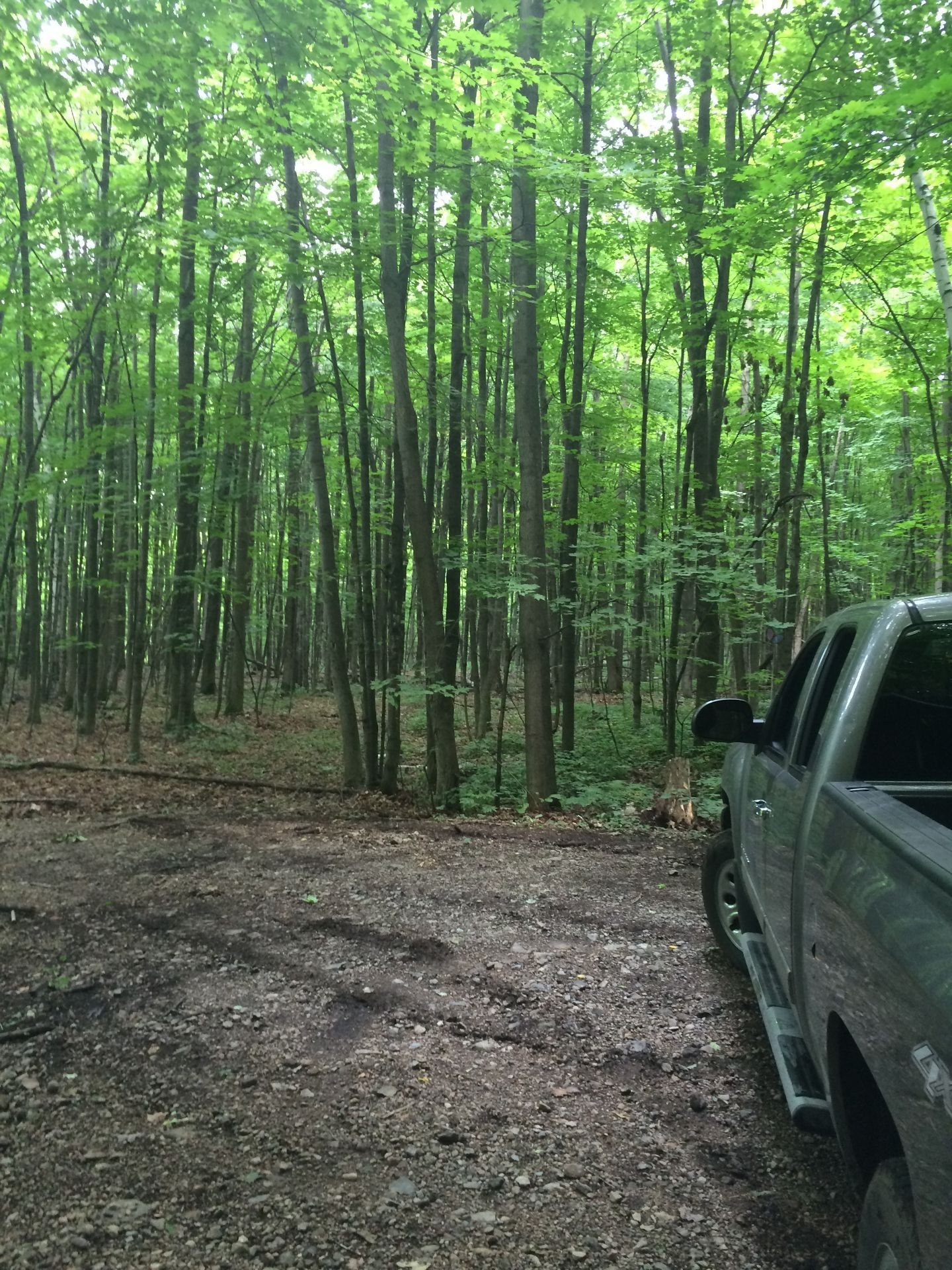 









168


Ch. St-Georges

,
Rigaud,







QC
J0P1J0

