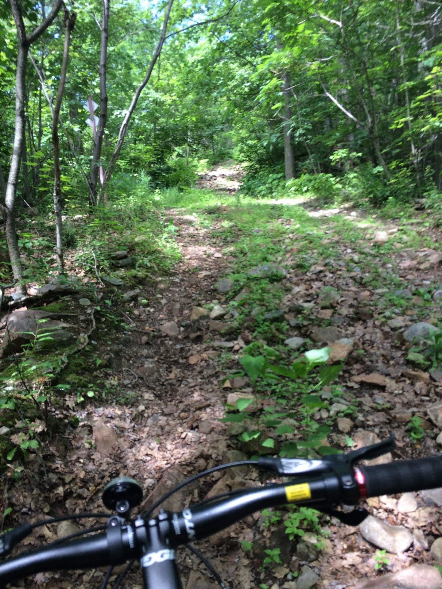 









168


Ch. St-Georges

,
Rigaud,







QC
J0P1J0

