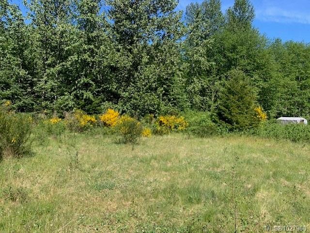 









691


Kelsey

Way,
Sayward,







BC
V0P 1R0

