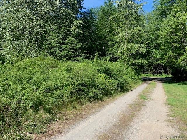 









691


Kelsey

Way,
Sayward,







BC
V0P 1R0

