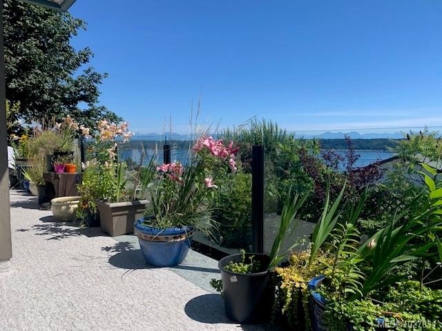 









253


Alder

St South,
Campbell River,




BC
V9W 2M9

