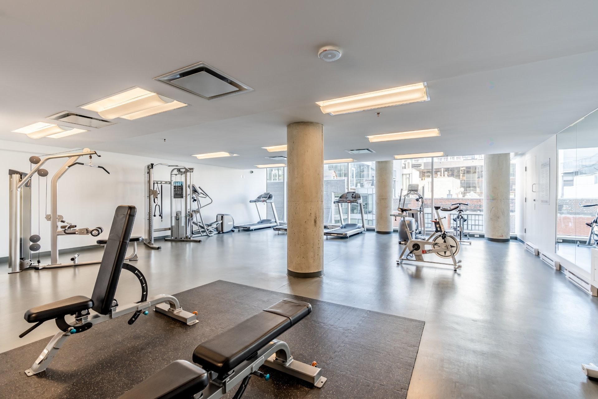 









495


Av. Viger O.

, 2706,
Montréal (Ville-Marie),




QC
H2Z0B1

