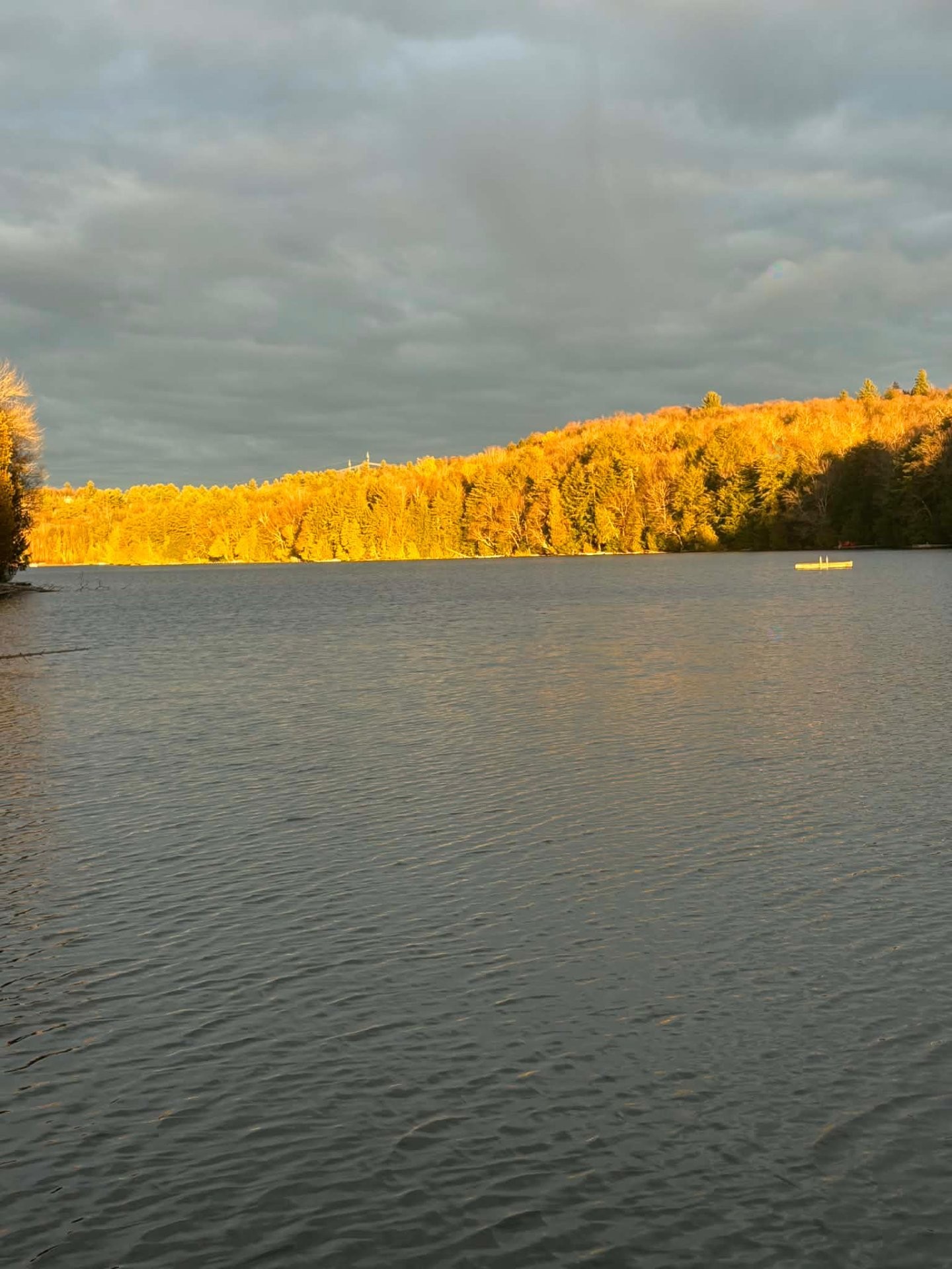 









102


Rue du Sahara

,
Gore,




QC
J0V1K0

