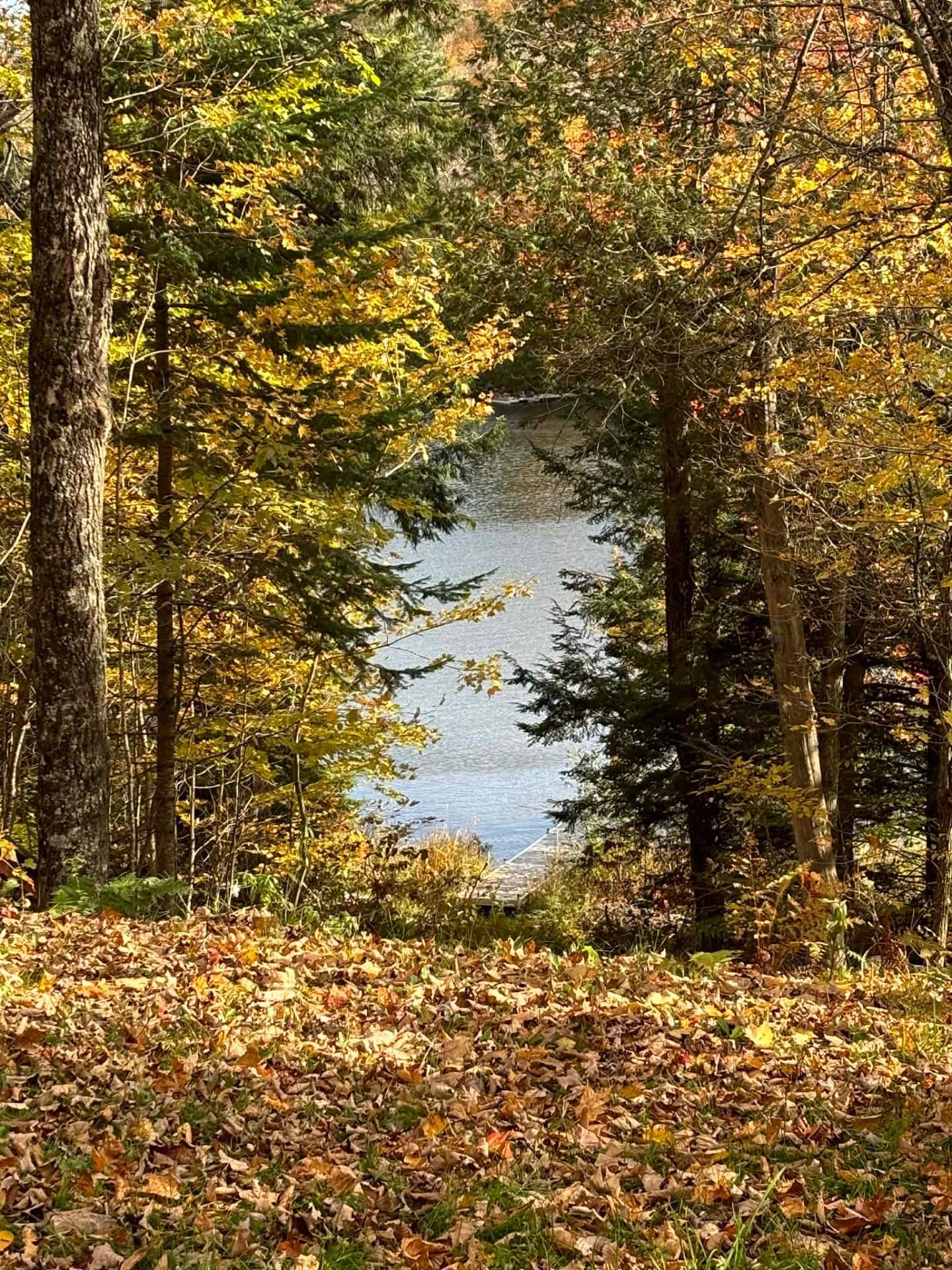 









102


Rue du Sahara

,
Gore,




QC
J0V1K0

