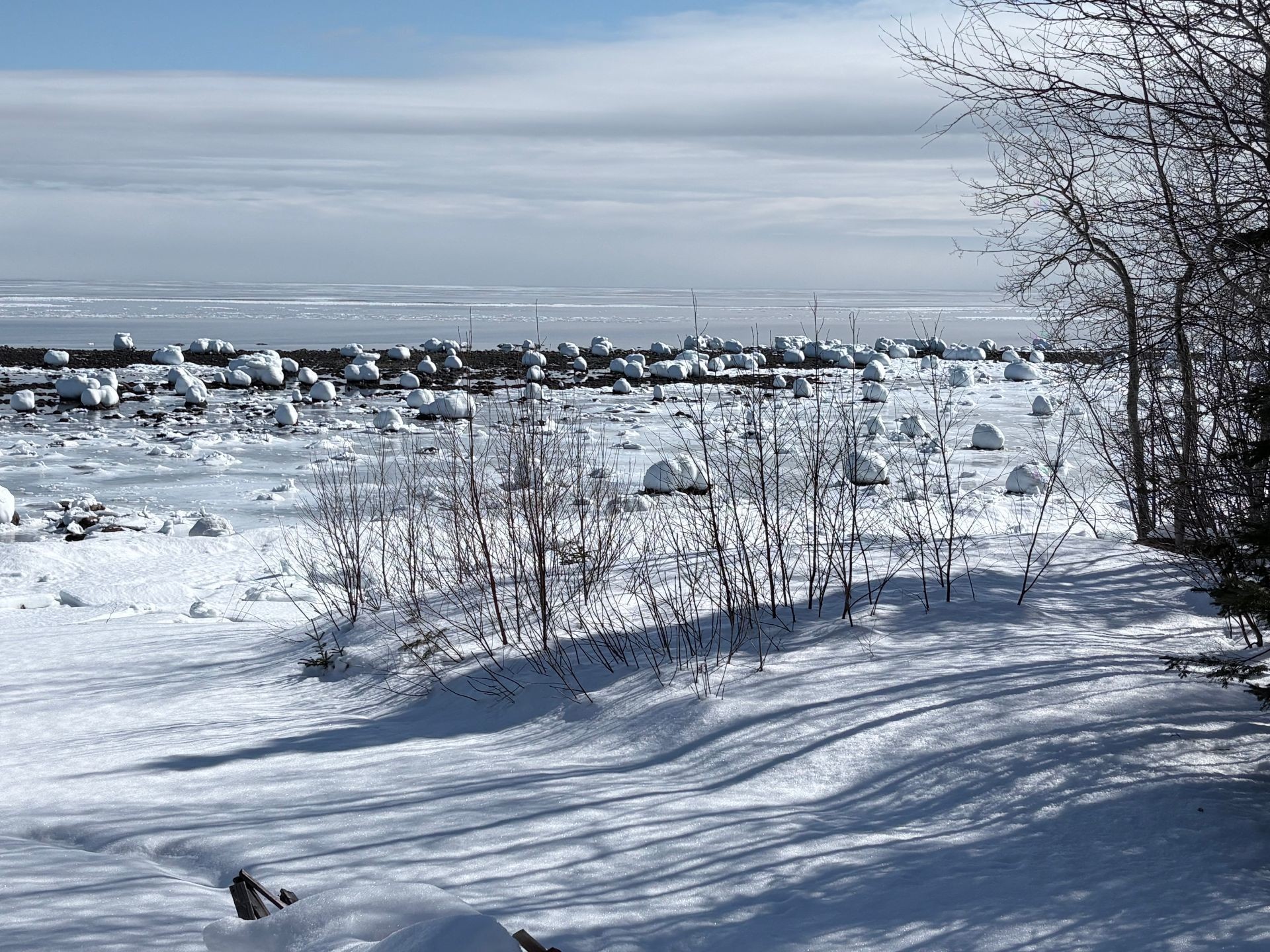 









41


Route 138

,
Baie-Trinité,




QC
G0G1A0

