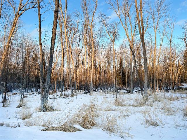 









11


Amherst

DR,
Pinawa,







MB
R0E 1L0

