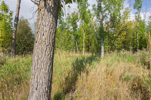 









11


Amherst

DR,
Pinawa,







MB
R0E 1L0

