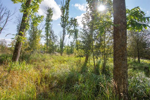 









11


Amherst

DR,
Pinawa,







MB
R0E 1L0

