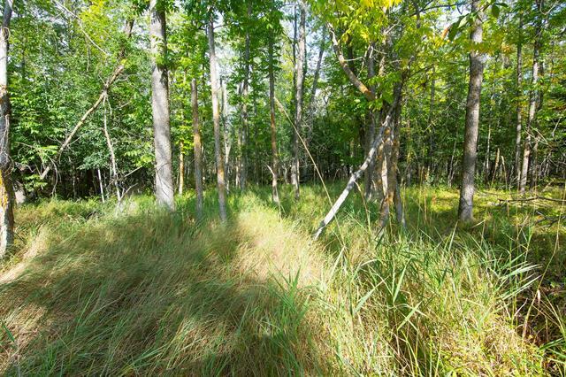 









11


Amherst

DR,
Pinawa,







MB
R0E 1L0

