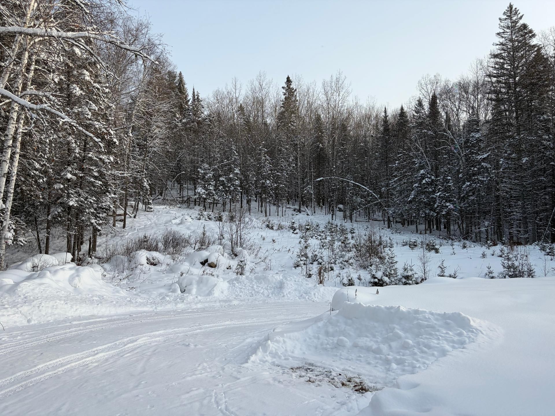 









469


Ch. du Pont-Couvert

,
La Macaza,




QC
J0T1R0

