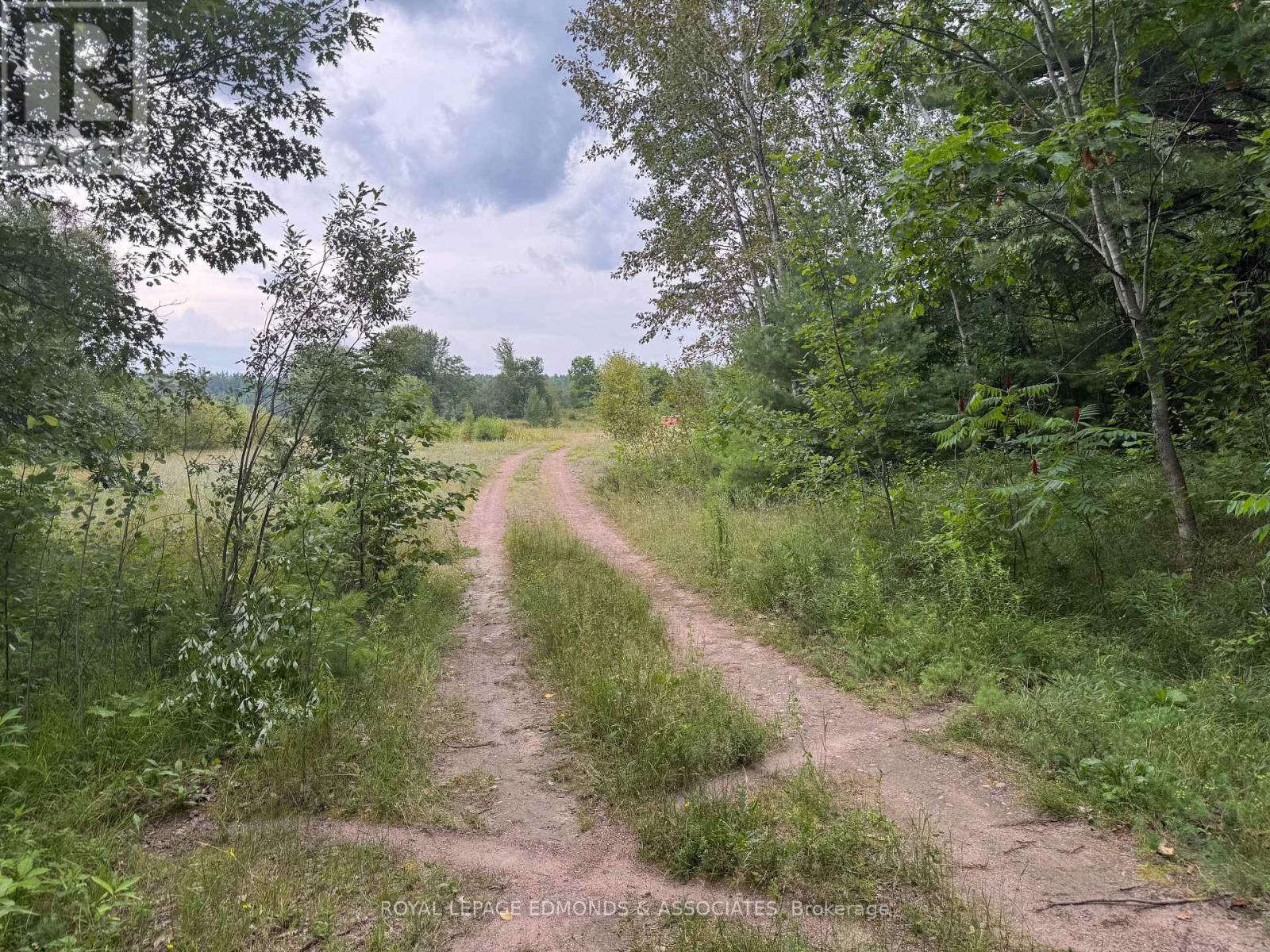 












705 RANTZ ROAD

,
Petawawa,







Ontario
K8H2W8

