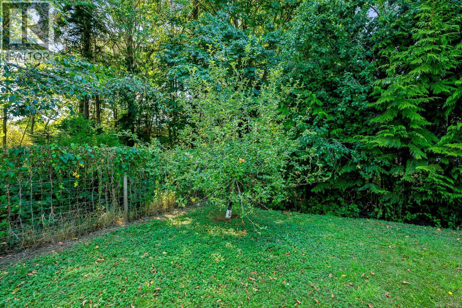 












1255 Wilkinson Rd

,
Comox,




British Columbia
V9M4B8

