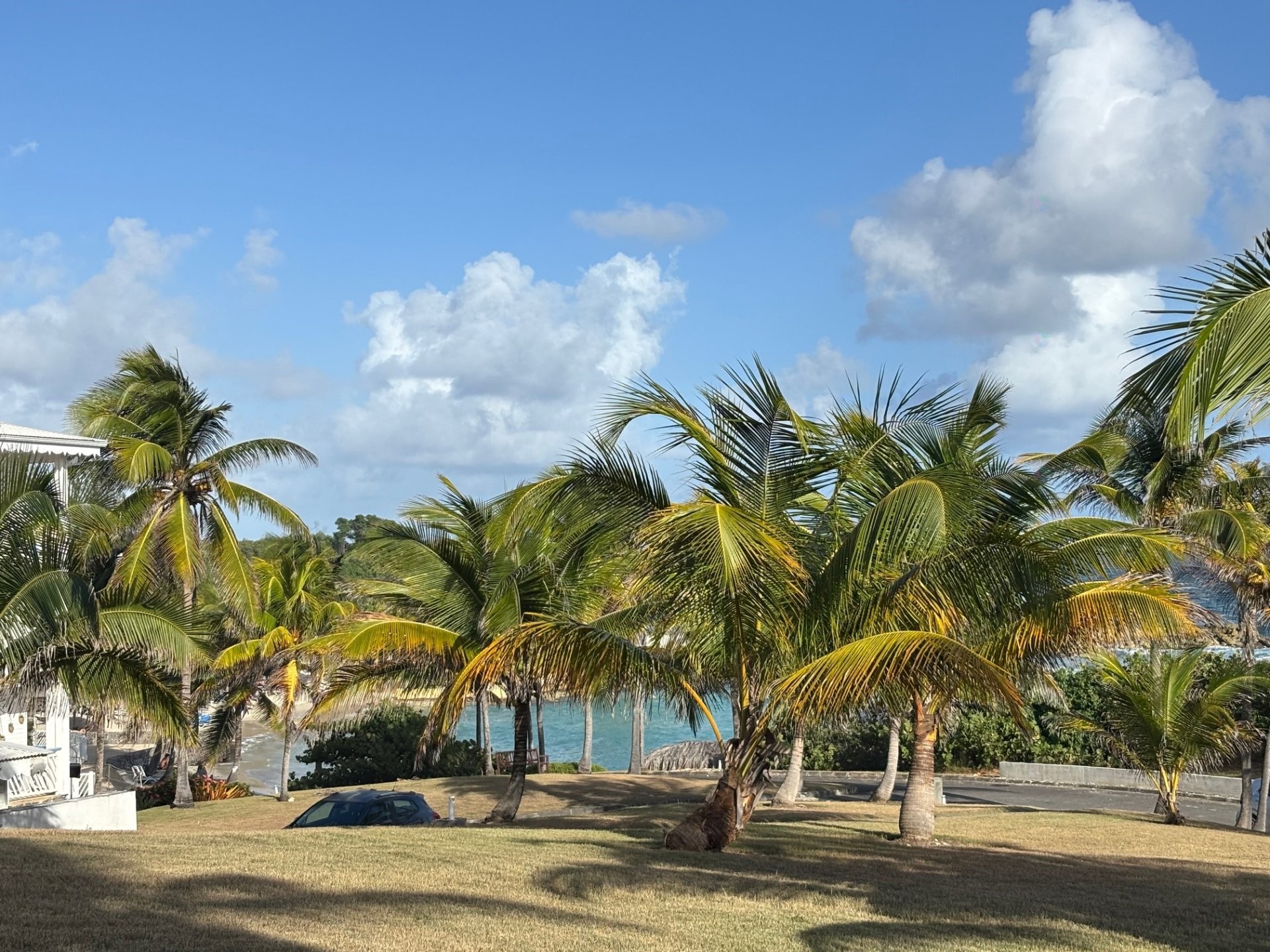 









1


Le Manganao, Saint-François, Guadeloupe

, 520,
Autres pays / Other countries,





97118

