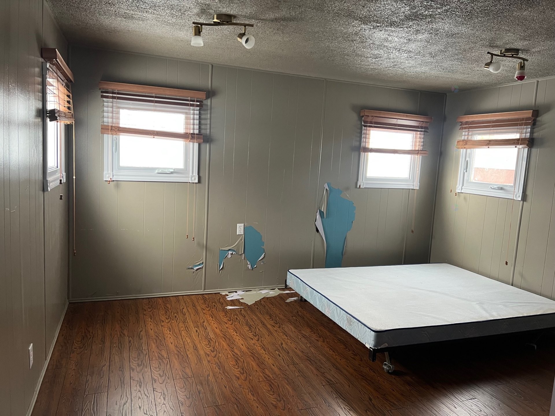 









1613


Rue St-Jacques

, C,
Chibougamau,




QC
G8P2L7

