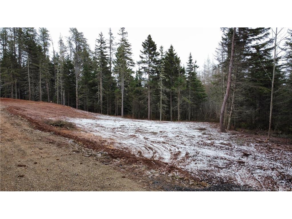 









181


Ogden Mill

RD,
Sackville,







NB
E4L 3J4

