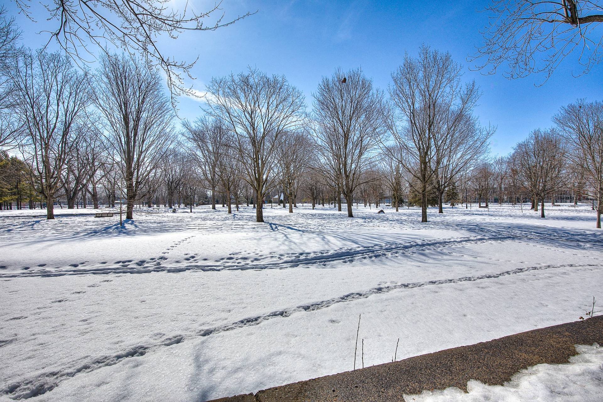 









1260


Rue St-Antoine

, 8,
Montréal (Lachine),




QC
H8S1T5

