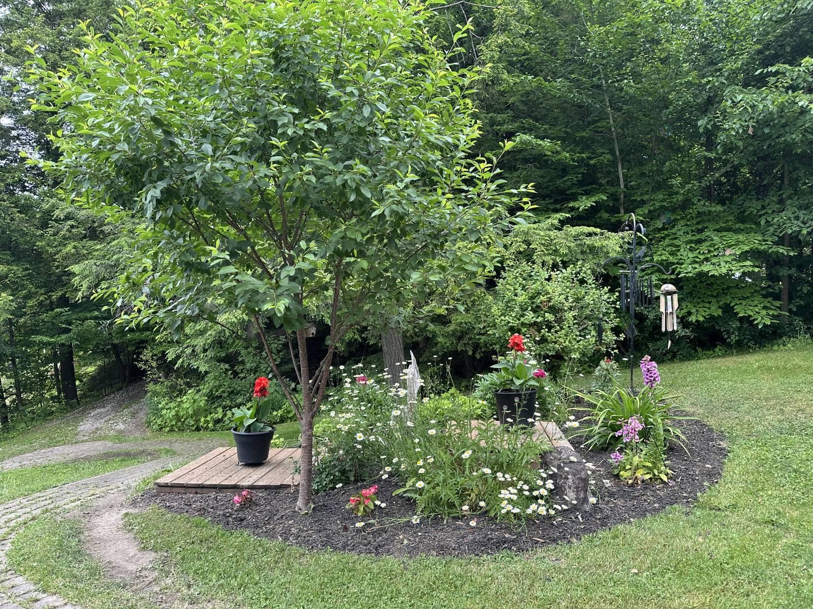 









6


Rue de l'Abitibi

,
Cantley,




QC
J8V3H4

