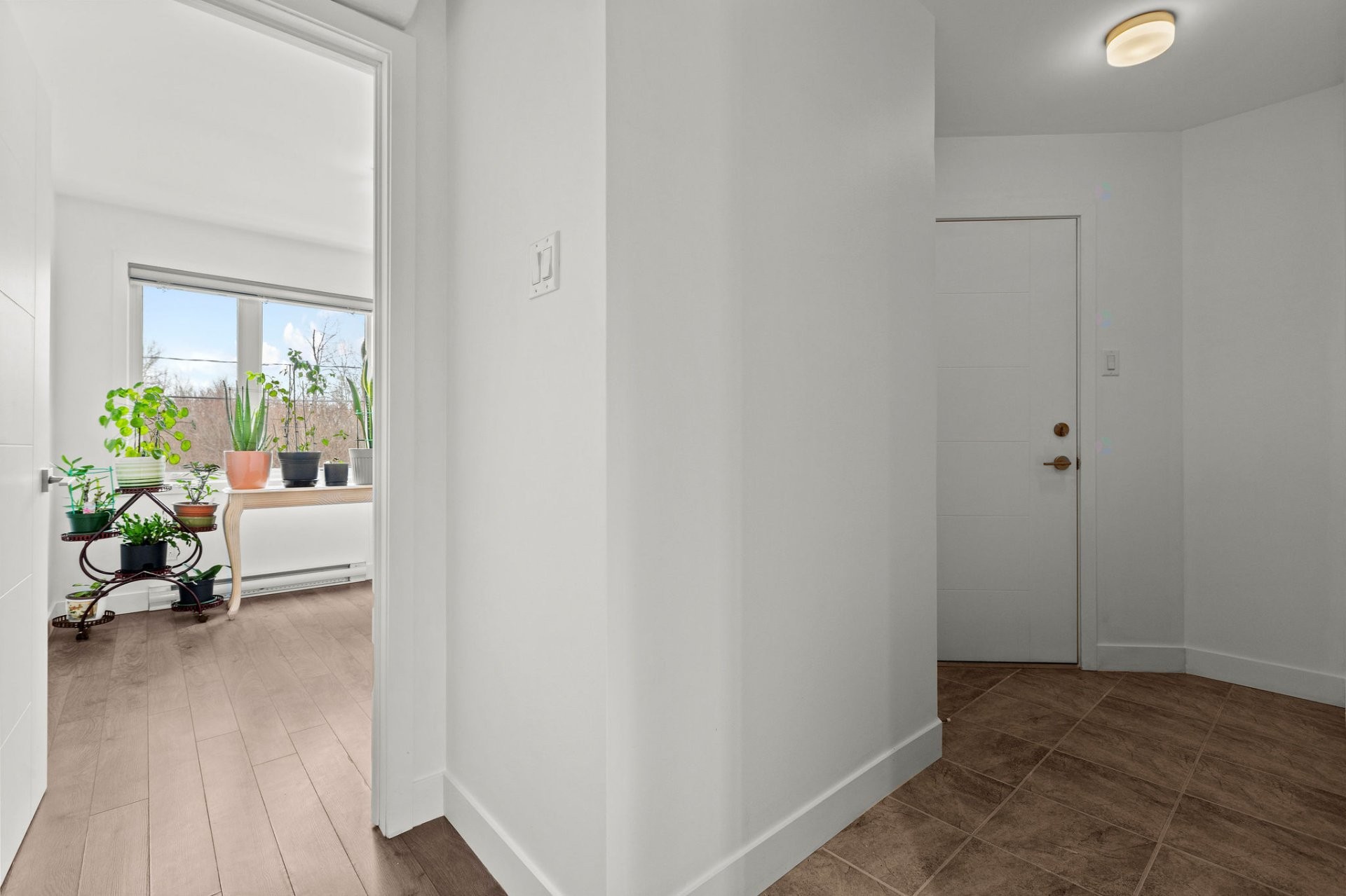 









3123


Rue du Granit

,
Carignan,




QC
J3L0Y3

