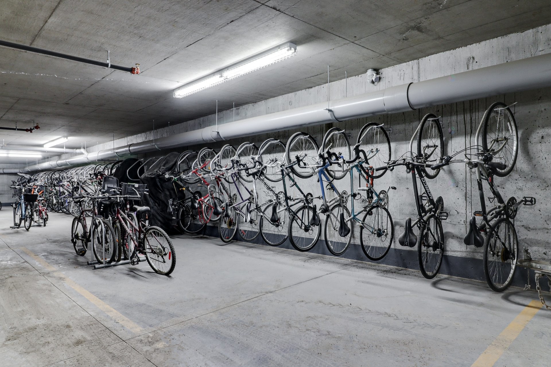 









75


Rue De Castelnau O.

, 229,
Montréal (Villeray/Saint-Michel/Parc-Extension),




QC
H2R0B9

