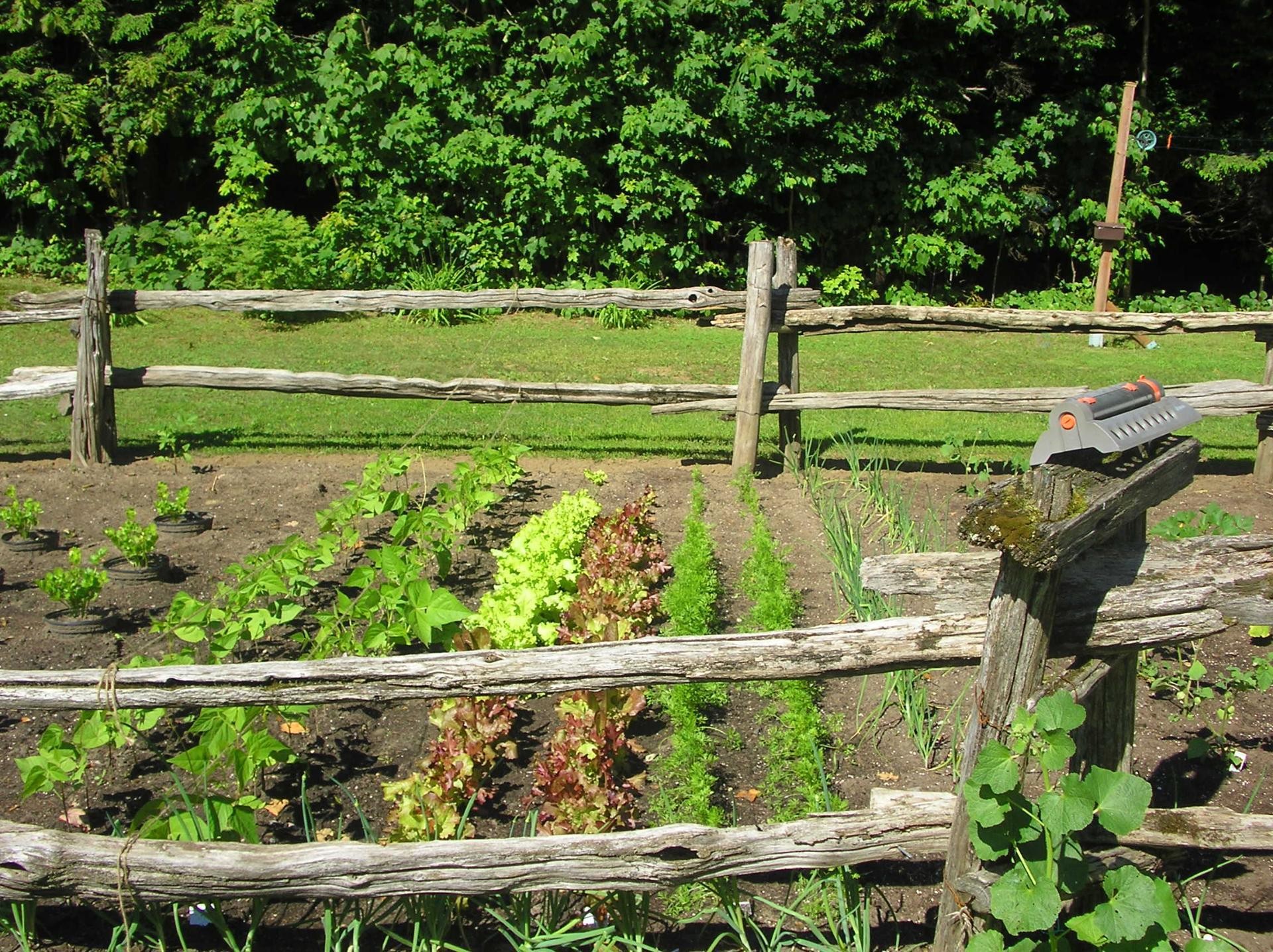 









203


Mtée Brisebois

,
Saint-Colomban,




QC
J5K2S1

