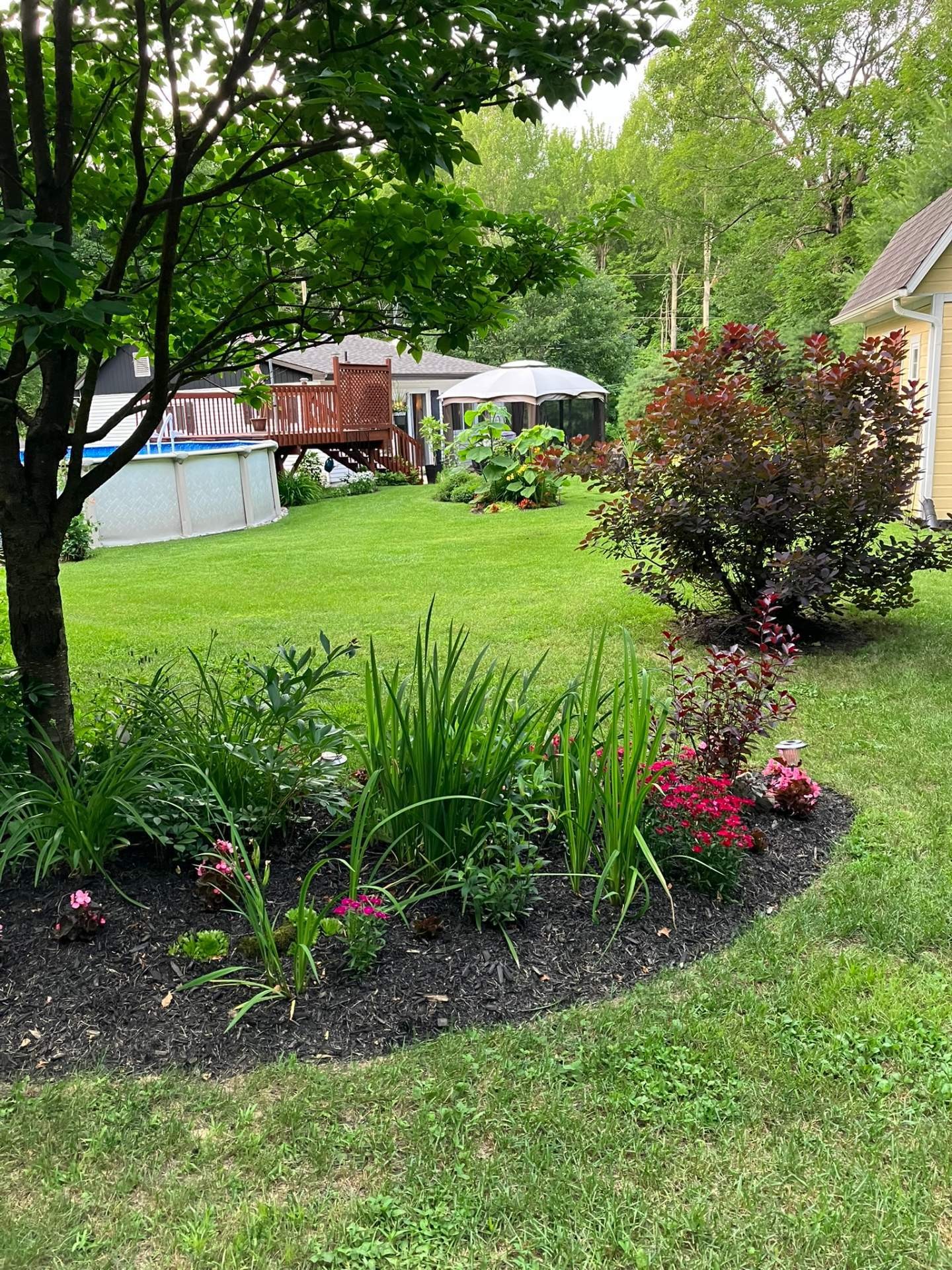 









203


Mtée Brisebois

,
Saint-Colomban,




QC
J5K2S1

