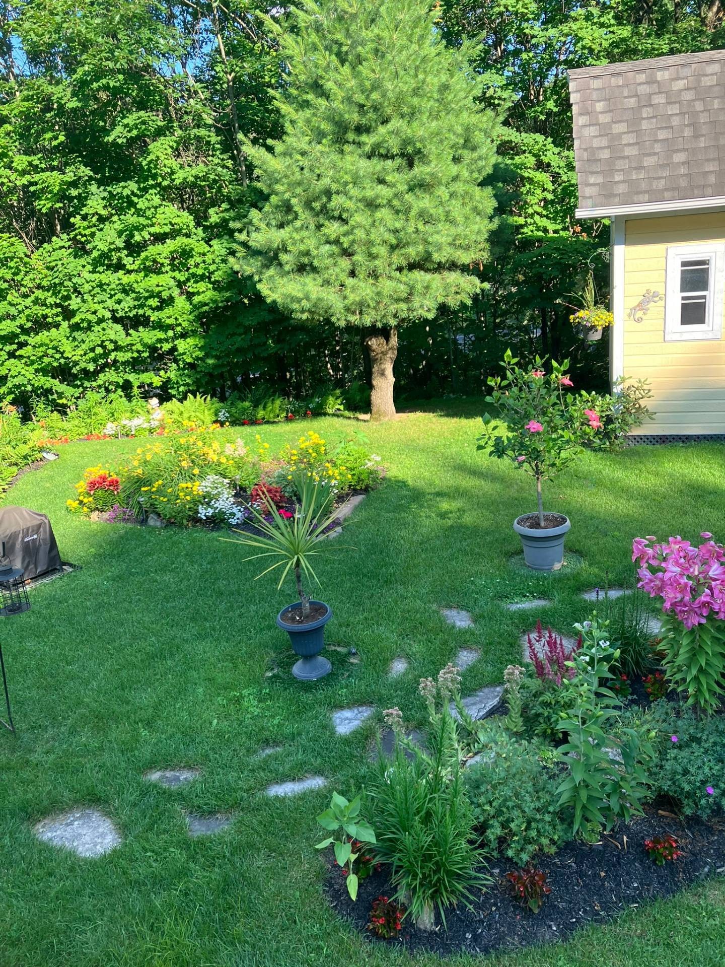 









203


Mtée Brisebois

,
Saint-Colomban,




QC
J5K2S1

