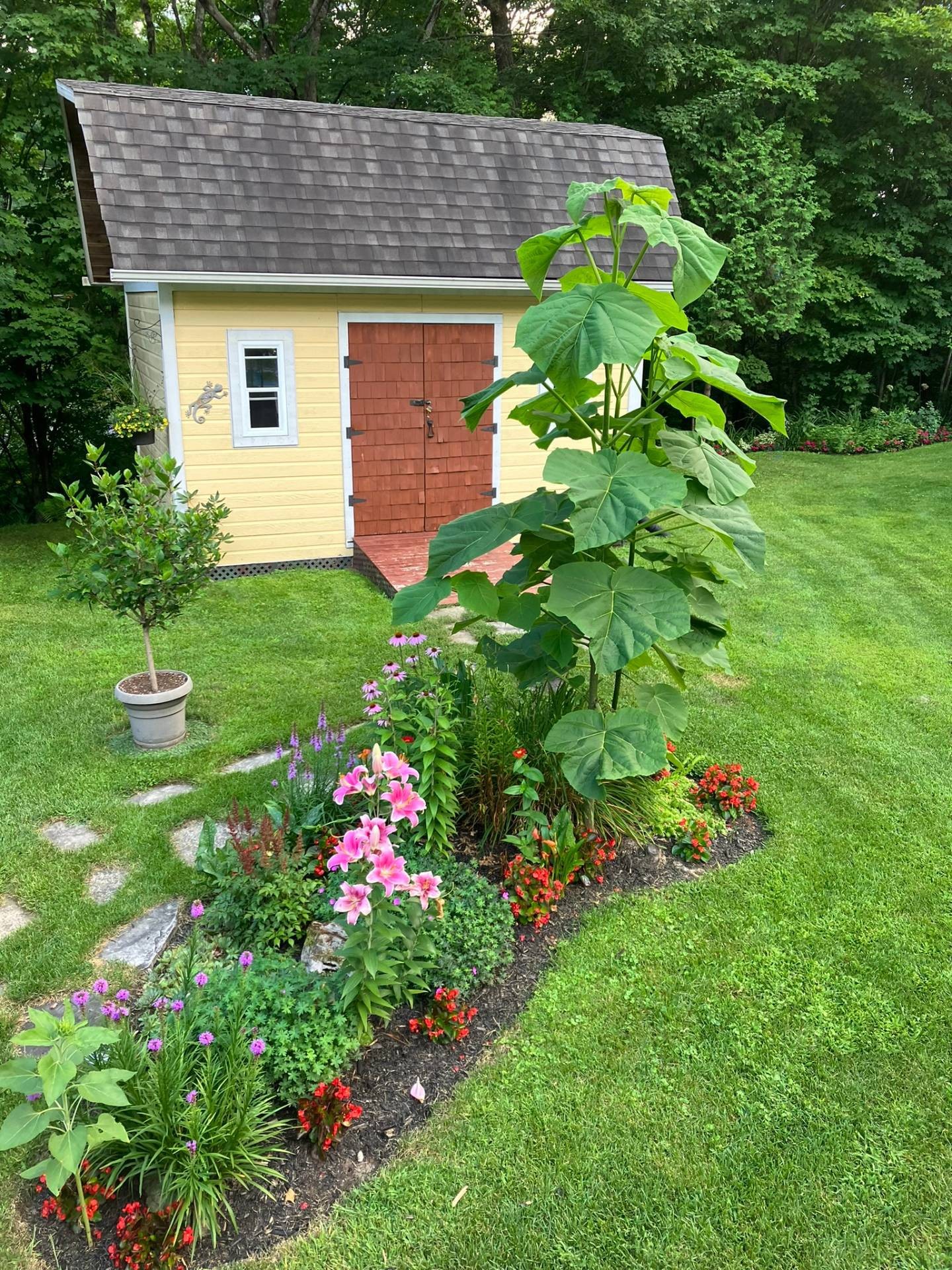 









203


Mtée Brisebois

,
Saint-Colomban,




QC
J5K2S1

