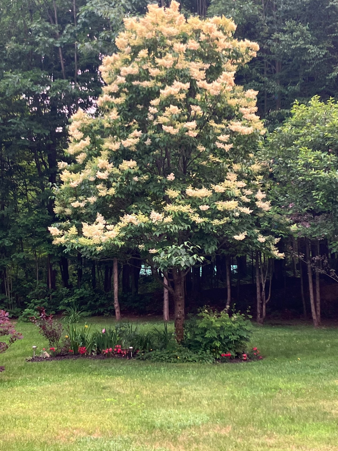 









203


Mtée Brisebois

,
Saint-Colomban,




QC
J5K2S1

