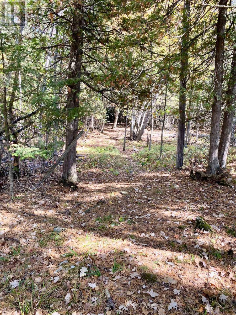 












418 FOREST PARK ROAD

,
Laurentian Valley,




Ontario
K8A6W2

