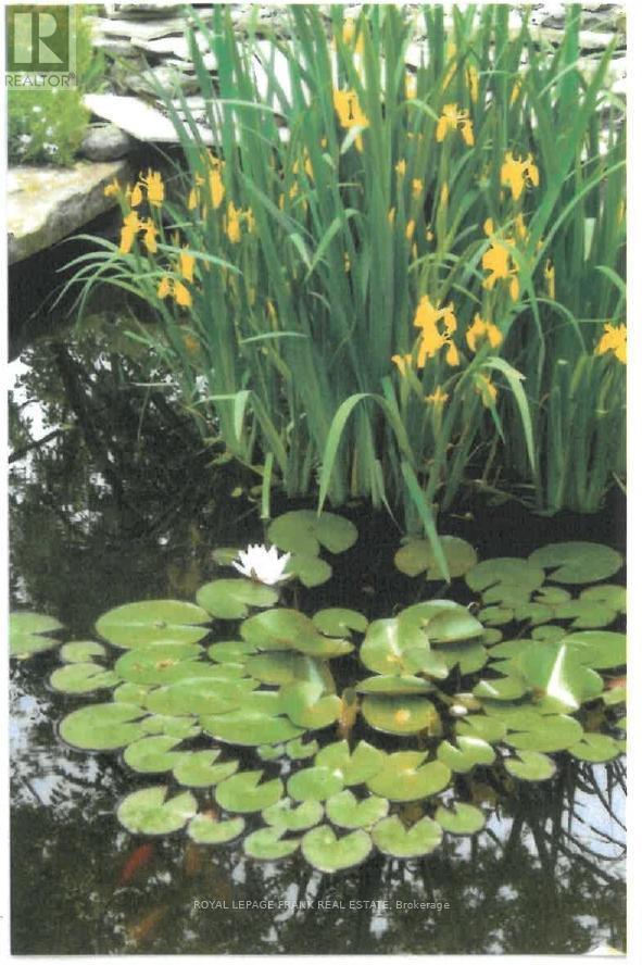 












491 CHAMBERLAIN STREET

,
Peterborough (Town Ward 3),




Ontario
K9J4L3

