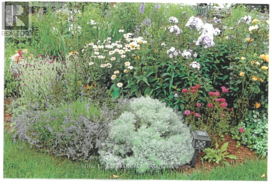 












491 CHAMBERLAIN STREET

,
Peterborough (Town Ward 3),




Ontario
K9J4L3

