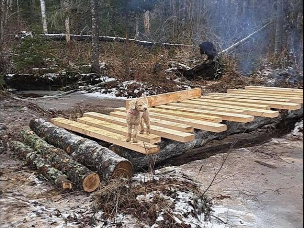 












ACREAGE GUERNSEY COVE Road

,
Murray Harbour,







PE
C0A 1V0

