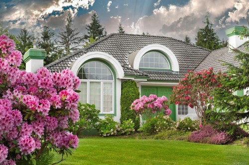 Featured Listing Photo 