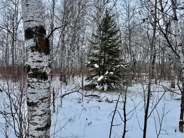 









18


Cameron

DR,
La Broquerie,







MB
R0A 0W0

