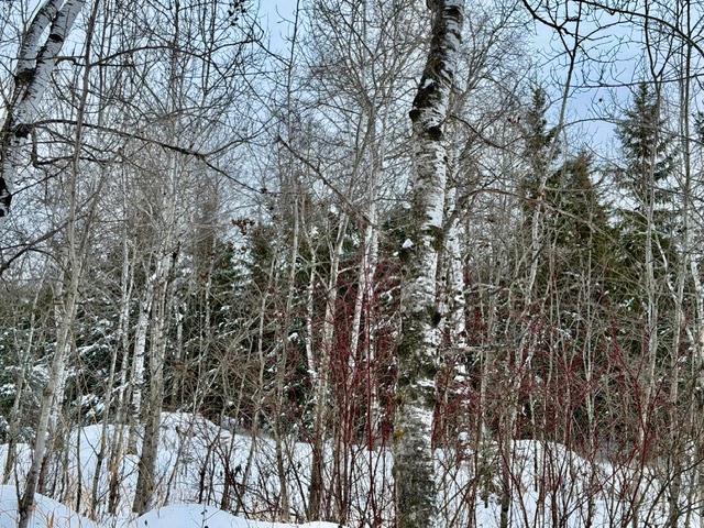 









18


Cameron

DR,
La Broquerie,







MB
R0A 0W0

