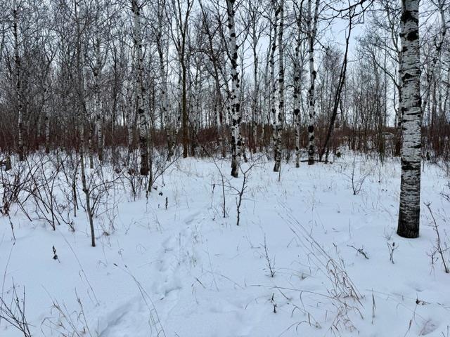 









18


Cameron

DR,
La Broquerie,







MB
R0A 0W0

