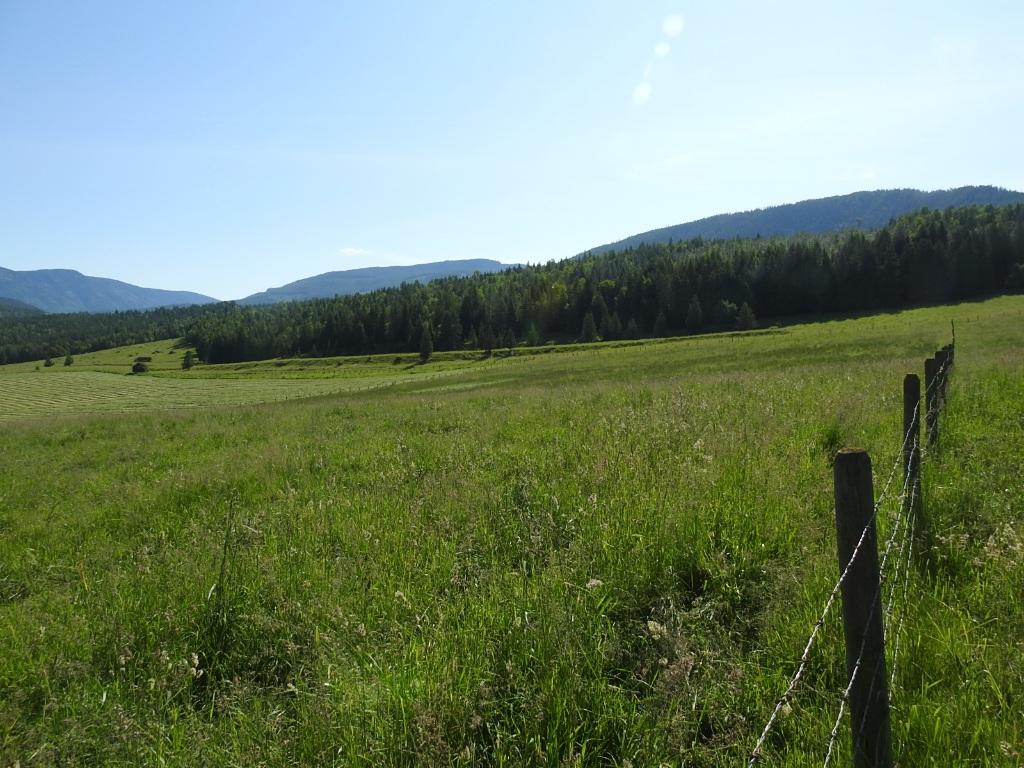 









43


Sigalet

Road,
Lumby,




BC
V0E 2G6

