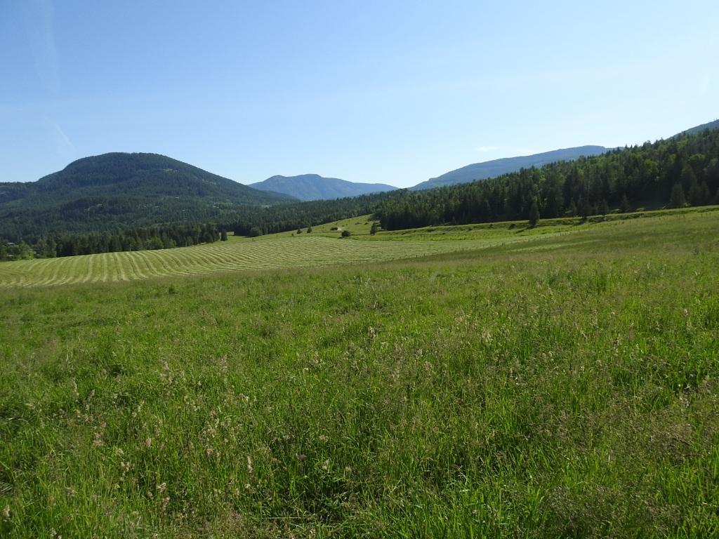 









43


Sigalet

Road,
Lumby,




BC
V0E 2G6

