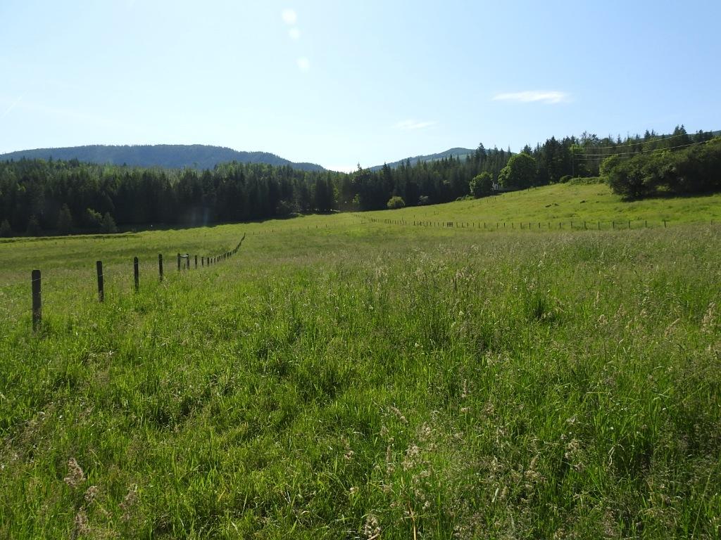 









43


Sigalet

Road,
Lumby,




BC
V0E 2G6

