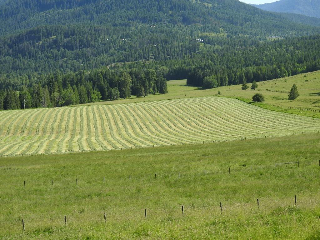 









43


Sigalet

Road,
Lumby,




BC
V0E 2G6

