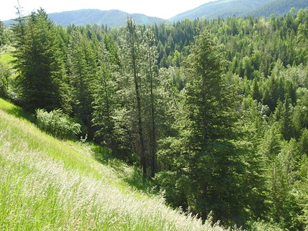 









43


Sigalet

Road,
Lumby,




BC
V0E 2G6

