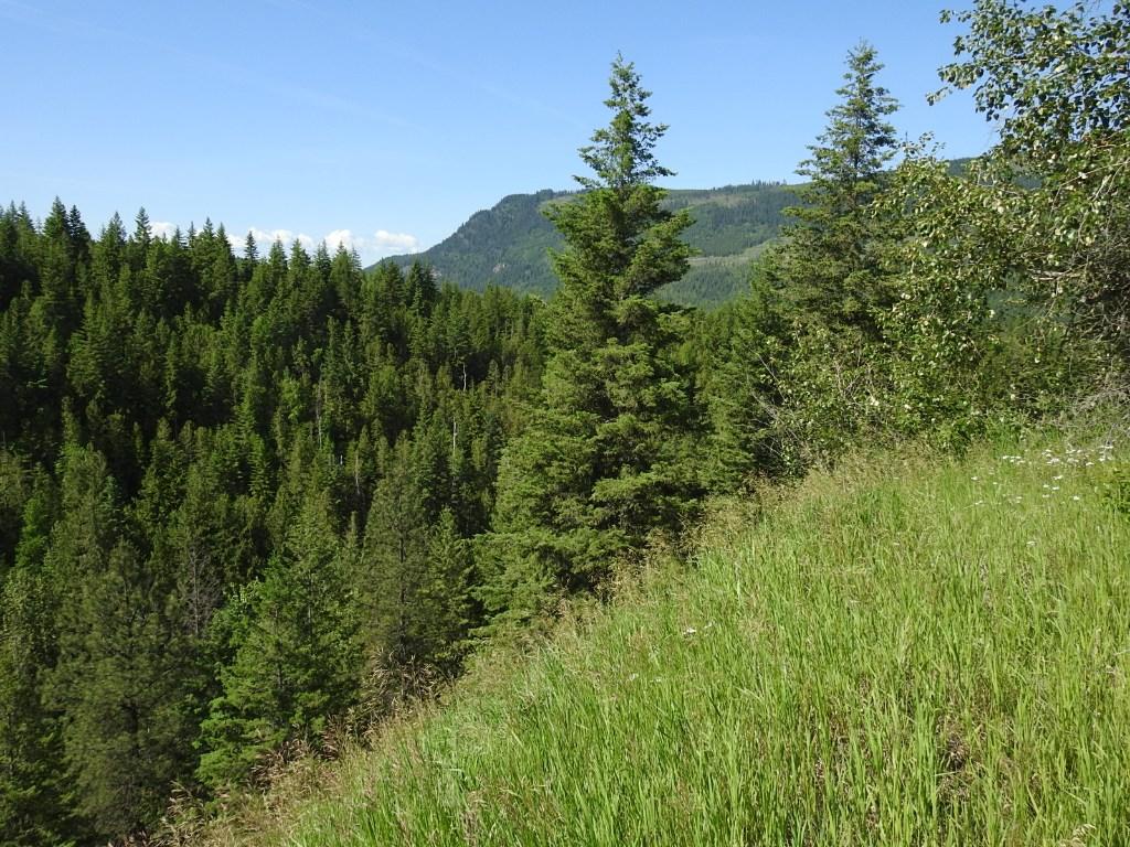 









43


Sigalet

Road,
Lumby,




BC
V0E 2G6

